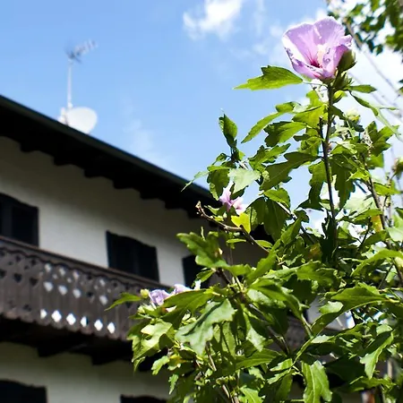 Casa Elisabetta Apartment Pieve Di Ledro Room photo