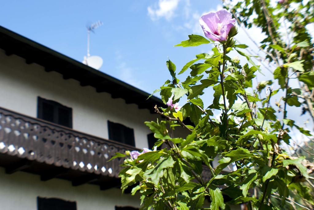 Casa Elisabetta *